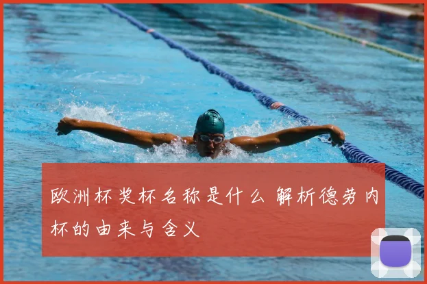 欧洲杯奖杯名称是什么 解析德劳内杯的由来与含义