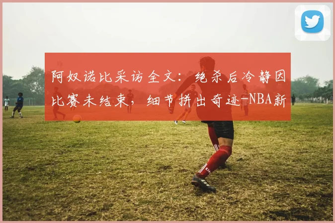 阿奴诺比采访全文:绝杀后冷静因比赛未结束,细节拼出奇迹-NBA新闻